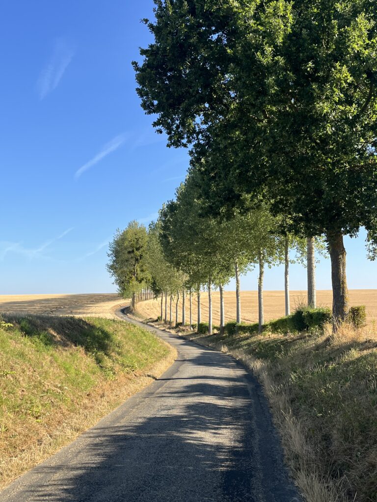 Philosophie Route de campagne bordée d’arbres symbolisant un parcours et un cheminement